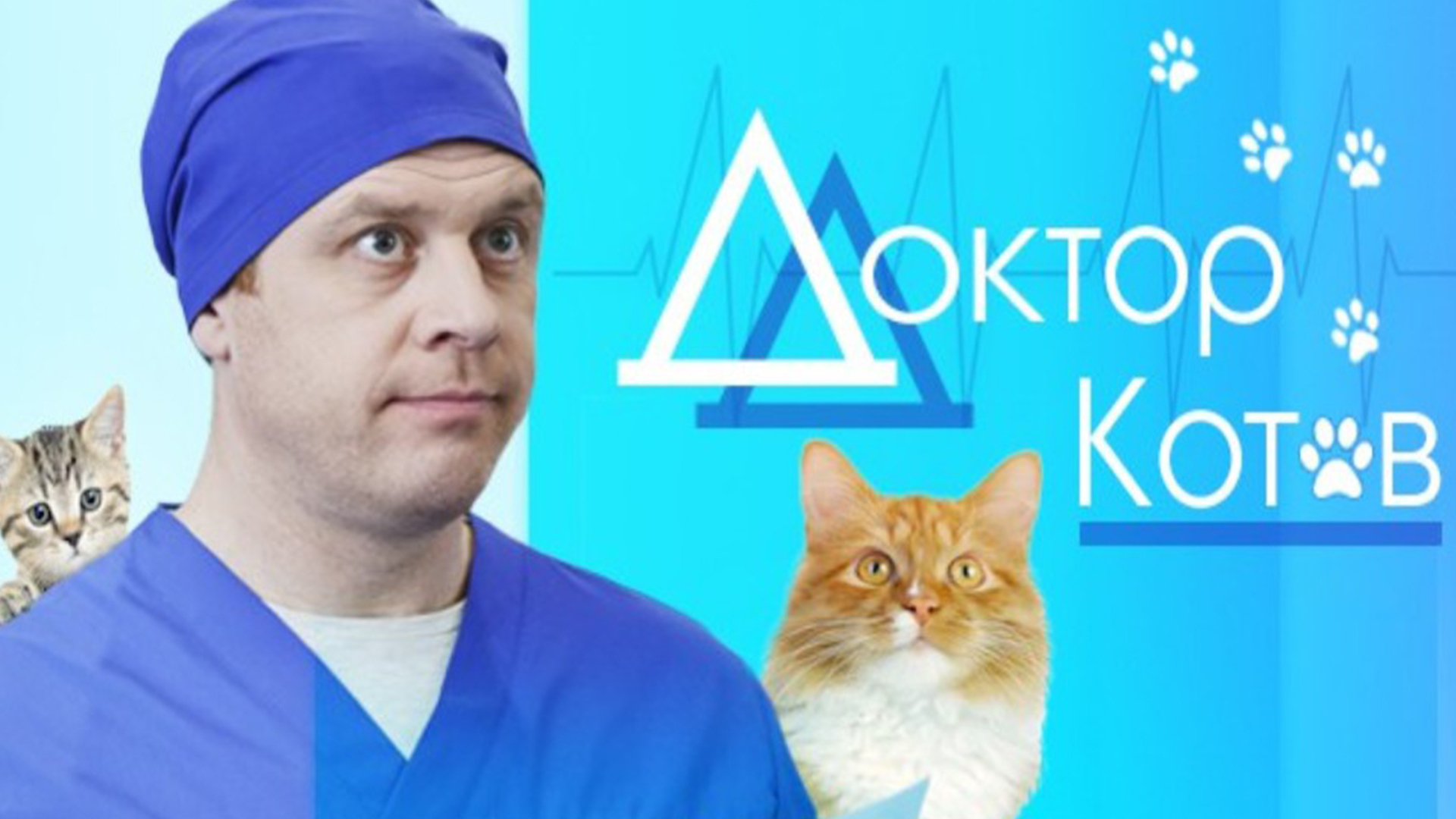 Слушать доктор кот. Три кота врачи.